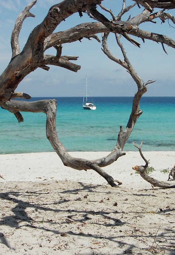 Randonnée Les plages du désert