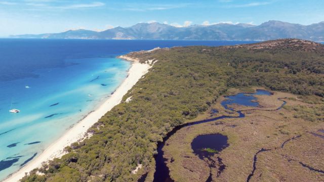 Randonnée 4x4 Agriates & Plage de Saleccia en Corse