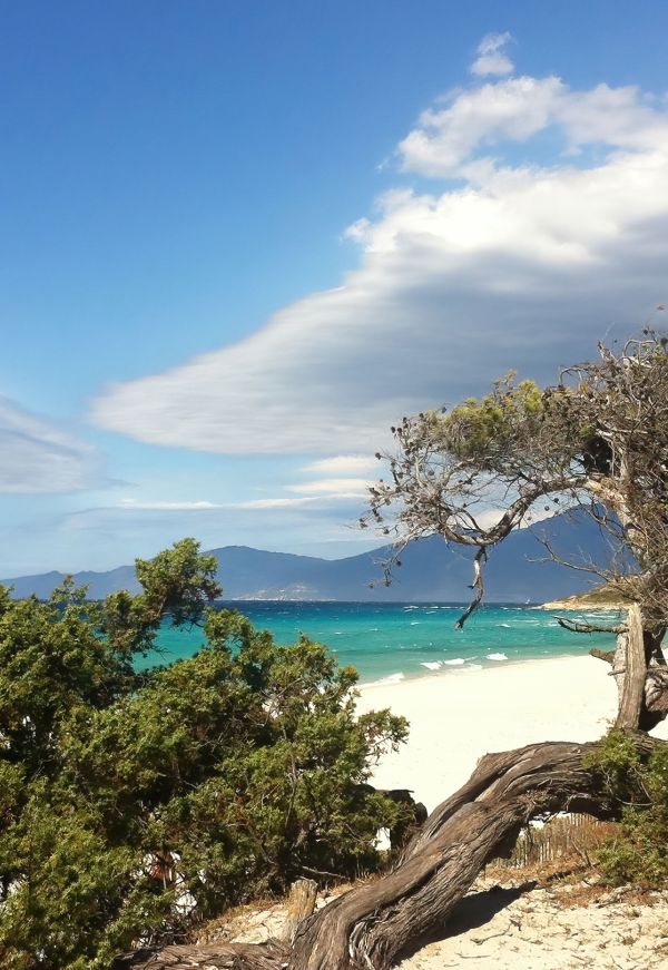 Randonnée Mer et montagne